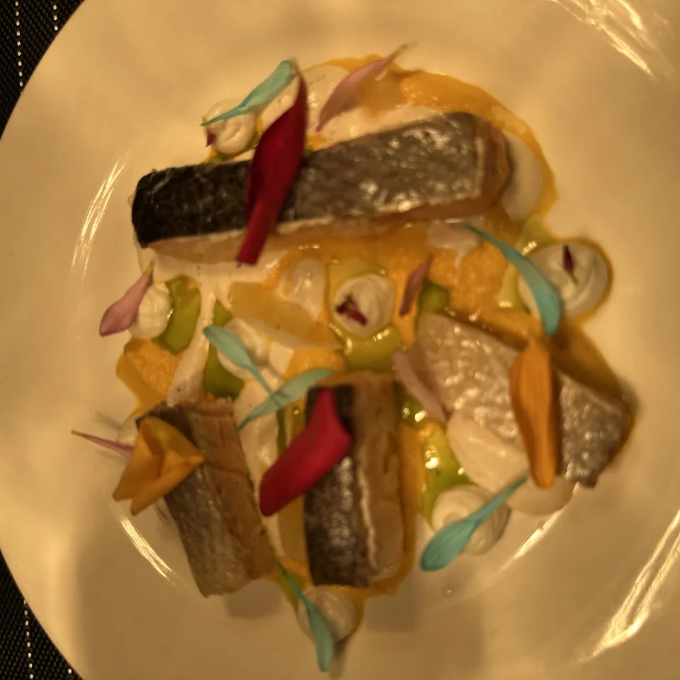 سلمون ڤيردي Salmon verde